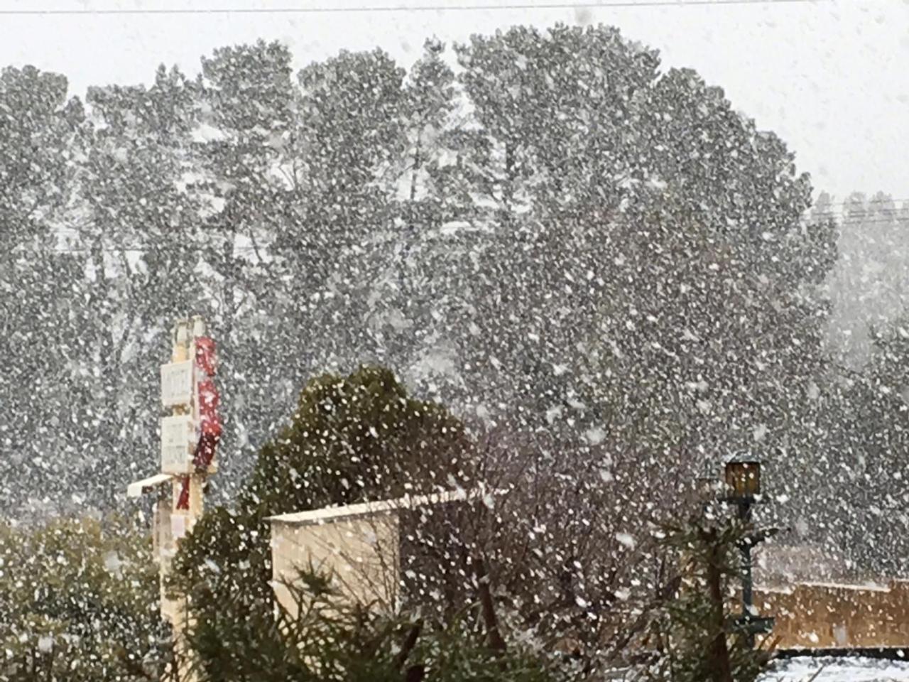 Alpine Country Motel Plus Free Coffee 쿠마 외부 사진